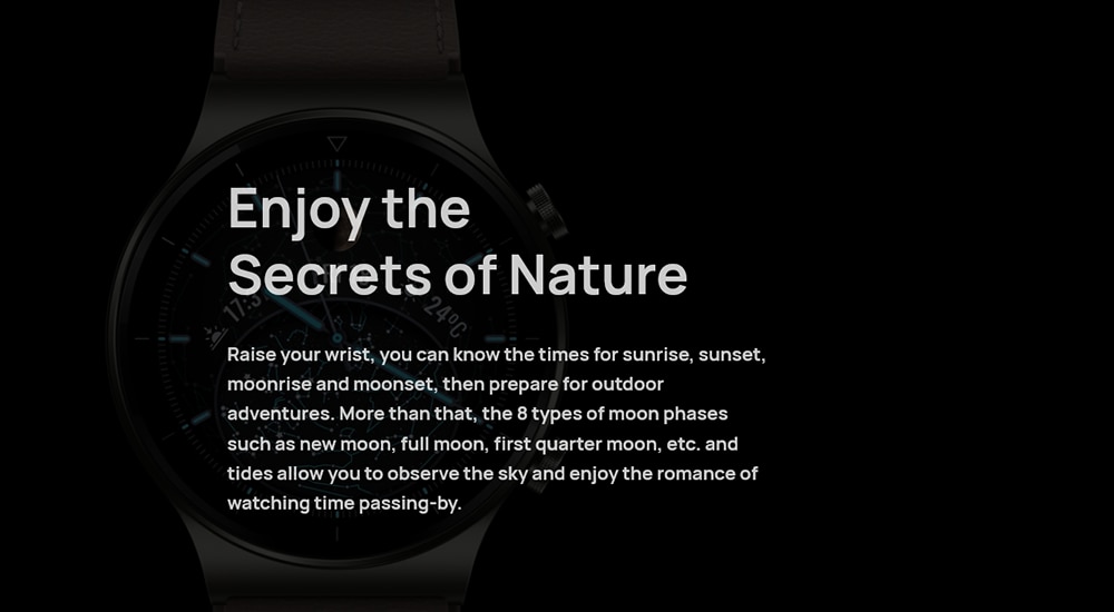 Global Version Huawei Watch GT 2 Pro